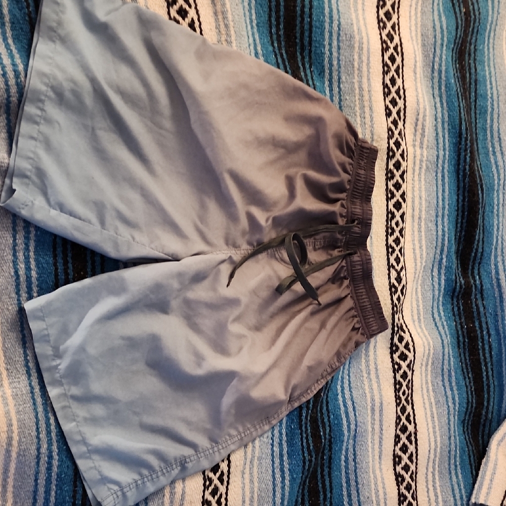 Blue and Gray Swim Shorts